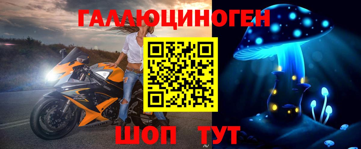 Псилоцибиновые грибы Cubensis Урус-Мартан